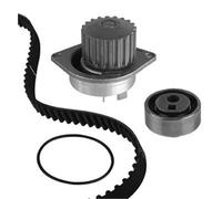 METELLI Pompa Dell'Acqua + Kit Di Cinghie Per Peugeot 306 Cabriolet 7D N3 N5 206