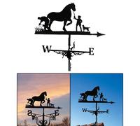 Meteo Vane Farm Garden Yard Tetto Kit In Metallo Banderuola Cupolas Scena