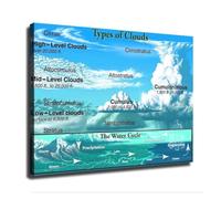 Meteorology Poster Types of Clouds Water Cycle Chart | Professional science decor for homeschool and elementary classrooms(Framed,08X12inch(20X30cm))
