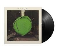 Meters The - Cabbage Alley