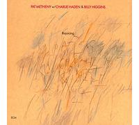 Metheny Pat - Rejoicing