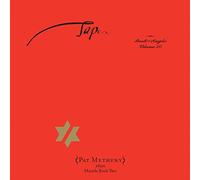 Metheny Pat - Tap Book Of Angels Vol. 20