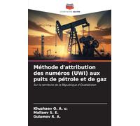 Méthode d'attribution des numéros (UWI) aux puits de pétrole et de gaz: Sur le territoire de la République d'Ouzbékistan