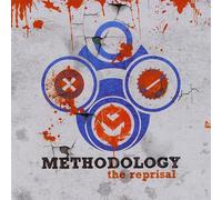 Methodology - Reprisal
