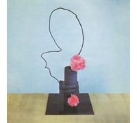 Methyl Ethel Oh Inhuman Spectacle (Vinyl LP) 12" Album