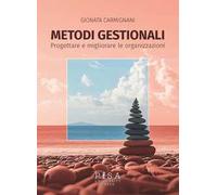 Metodi gestionali. Progettare e migliorare le organizzazioni