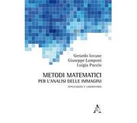 Metodi matematici per l'analisi delle immagini. Applicazioni e laboratorio