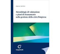 Metodologie di valutazione e piani di risanamento nella gestione della crisi d'impresa