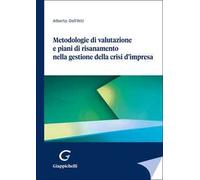Metodologie di valutazione e piani di risanamento nella gestione della crisi d'impresa