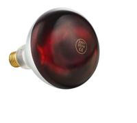 METRO Professional Lampadina a infrarossi per lampada riscaldante GWL1500R, vetro, 250 W, durata: 5000h, infrangibile, rosso
