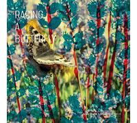 Mette Iversen, Anne Quartet - Racing A Butterfly