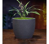 METTEOR Vaso per Bonsai in Sabbia Viola, Traspirante, in Ceramica, per Piante grasse, Vaso per Bonsai, Contenitore per Fiori, Soggiorno, Balcone, Arredamento per la casa, 23 cm * 20 cm.