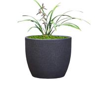 METTEOR Vaso per Bonsai in Sabbia Viola, Traspirante, in Ceramica, per Piante grasse, Vaso per Bonsai, Contenitore per Fiori, Soggiorno, Balcone, Arredamento per la casa, splendido scenario-23,