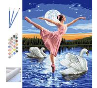 Metuu Pittura a olio fai-da-te con numeri per adulti e bambini, pigmenti acrilici Pittura con numero su tela per principianti 40 x 50 cm, Il lago dei cigni e ballerina (senza cornice)