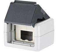 BTR E-DAT modulo IP44 AP-geh. grigio Cat.6 unbestueck