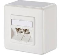 BTR, 130B12D20002-E, Presa di rete da parete modulo C6A, 2 porte, 270°M, colore: Bianco