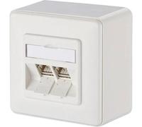 BTR 130B12D20002 - Modulo CAT. 6A 2 porte 270°M AP bianco puro