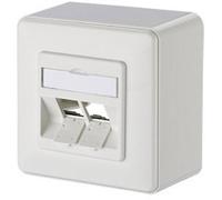 Metz Connect Presa di rete Da parete Non classificata 2 Porte Bianco puro