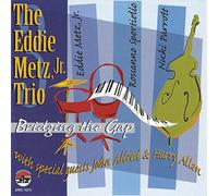 Ed Metz Bridging the Gap (CD)