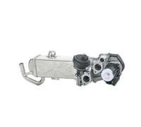 METZGER Modulo EGR