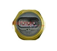 METZGER 0906313 Sensore, Pressione carburante