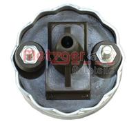 METZGER 2250065 Pompa carburante per RENAULT,SUZUKI