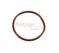 METZGER 2430060 Anello di tenuta
