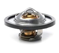 METZGER 4006140 Termostato motore