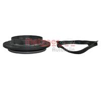METZGER 6490173 Cuscinetto volvente, Supporto ammortizz. a molla per CITROËN,FIA