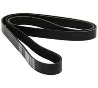 DAYCO cinghia Poly-V 7PK1784 7PK1784 7 nervature