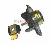 METZGER Supporto motore per RENAULT CLIO II (BB0/1/2, CB0/1/2) 8050702