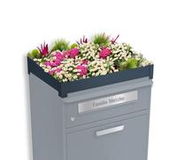 Metzler Tetto per piante per scatola di pacchetti, grigio, verde sul tetto per cassetta delle lettere, per serie Bispo... (DB 703 Eisenglimmer)