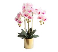 MEVZHH Fiori Artificiali, Mazzo Di Fiori Artificiali Phalaenopsis con Vaso Set Artigianato Di Plastica Mazzo Di Soggiorno Adattor Festa Di Vacanza Decoraziufficio Di Nozze Fiori Falsi/Rosa/Bottiglia R