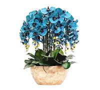 MEVZHH Fiori Artificiali, Simulazidi Fiori Artificiali Phalaenopsis 8Pcs Disposizioni Doccia Di Festa Decorazionir la Casa Piante Verdi Arredamentir il Soggiorno in Vaso Fiori Falsi/1