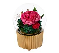 MEVZHH Fiori Decorativi Regalir Le Donne Fiore Eterno Conservato Fiore Fresco Rose Dell'Eternità con Scatola Di Musica Regalor Semprer il Compleanno Giorno Di San Giorno Della Madre Giorno Di Natale A