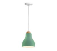 MEVZHH Lampadari,Pada a Sospensia Colori Semplici Semplicità Danese Luce Sospesemalista Industriale Apparecchio Di Illuminazia Soffitto Elegante E27Padario a Soffitto a Testa Singola Ristorante Sala d
