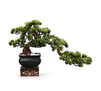 MEVZHH Piante Artificiali Pianta in Vaso Di Pino Di Benvenuto Artificiale con Base in Legno Ornamenti Zen Ingresso Dell'Albergo Del Soggiorno Pianta Verde Artificiale Di Bonsai Decorazidel Desktop Alb