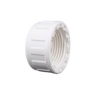MEXEWORD 2 Pezzi PVC 20~50mm Filettatura Femmina Tappo terminale connettore irrigazione Giardino Acquario Serbatoio Tubo Adattatore(White,1l2 inch)