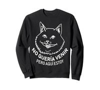 Mexicans Sarcastic Humor Latinos Saying Mexico Slang Words Felpa