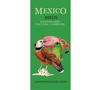Mexico: Birds - Quintana Roo, Yucatan, Campeche