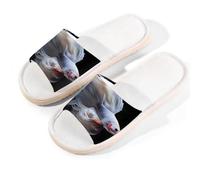 Mexpekil Sliders - Pantofole estive da donna, con punta aperta, per interni ed esterni (pesce Betta bianco), Pesce Betta Bianco, 42/42.5 EU