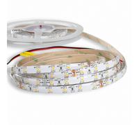 Mextronic 24V Strisce LED 5m 3528 Bianco Caldo (3000K) 24W 500CM 24V IP44