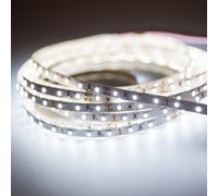 Mextronic 24V Strisce LED 5m 3528 Bianco Freddo (6000k) 24W 500CM 24V IP20