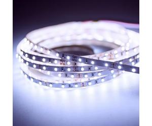 Mextronic Striscia LED 3528 Blu Bianco (10000K) 24W 500CM 12V IP20