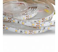 Mextronic Striscia LED 3528 Calda (2700K) 48W 500CM 12V IP44 Striscia LED