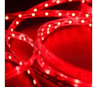 Mextronic Striscia LED 3528 Rosso 625-630nm 24W 500CM 12V IP20 Strisce LED