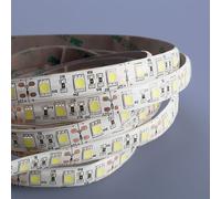 Mextronic Striscia LED 5050 Bianco Freddo (6000k) 72W 500CM 12V IP44 Strisce LED