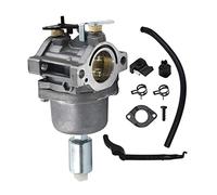 MEXWLOP Carburatore 287707 287776 287777 310707 310777 Motori D24 20 Kit carburatore