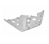 MEXWLOP Protezione telaio motore Expedition Skid Panel Piastra protezione pancia, for BMW, G 310 R/GS G310R G310GS 2016 2017 2018 2019 2020 Piastra paramotore per moto(Silver)