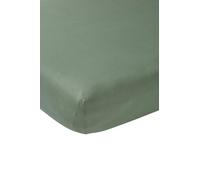 Meyco Home Basic Jersey lenzuolo singolo matrimoniale (lenzuolo con qualità di morbido jersey, in 100% cotone, traspirante, dimensioni: 180 x 200 cm), verde bosco